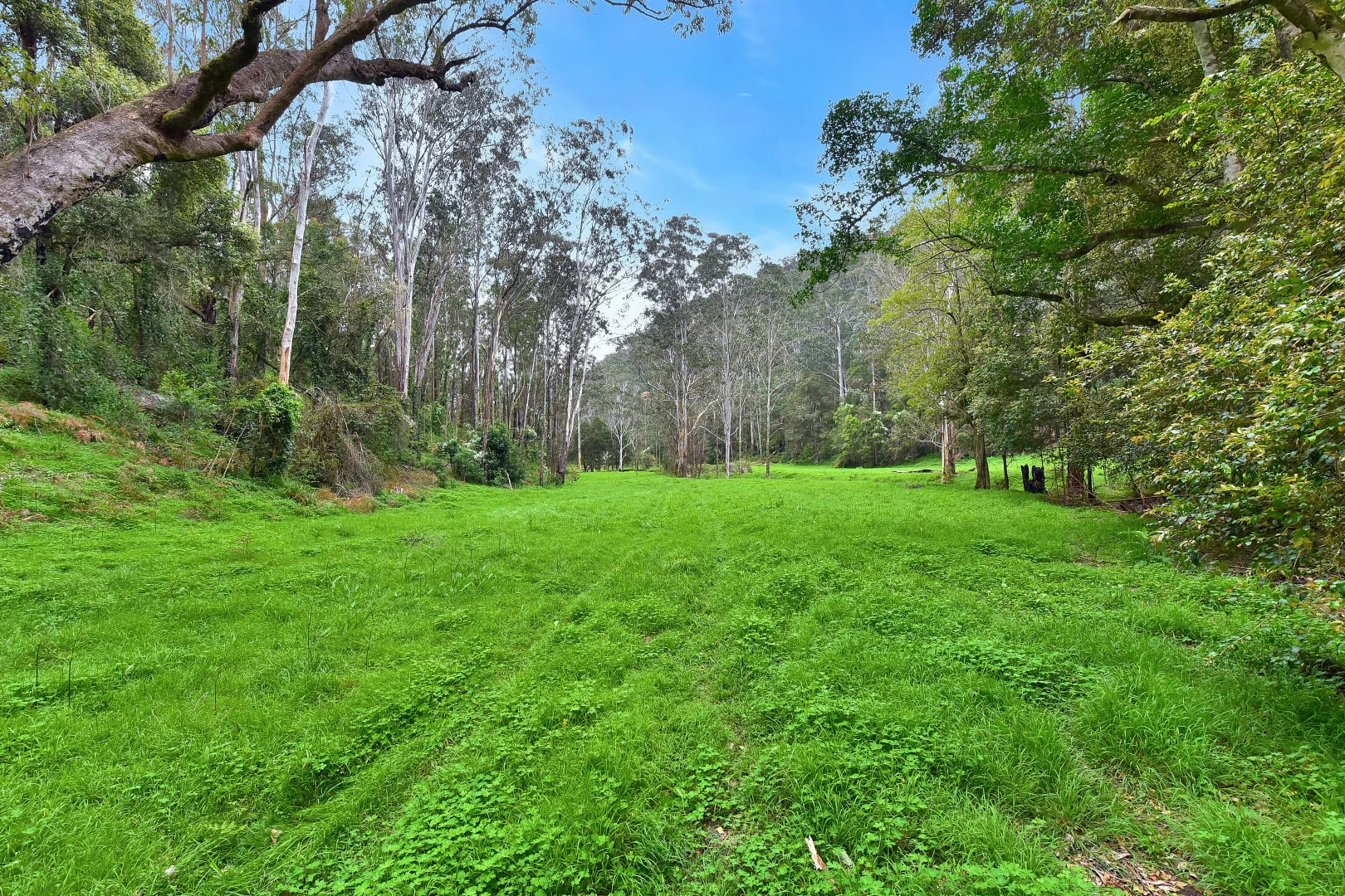 Additional image 28 of 2299 Wollombi Road, Sweetmans Creek NSW 2325