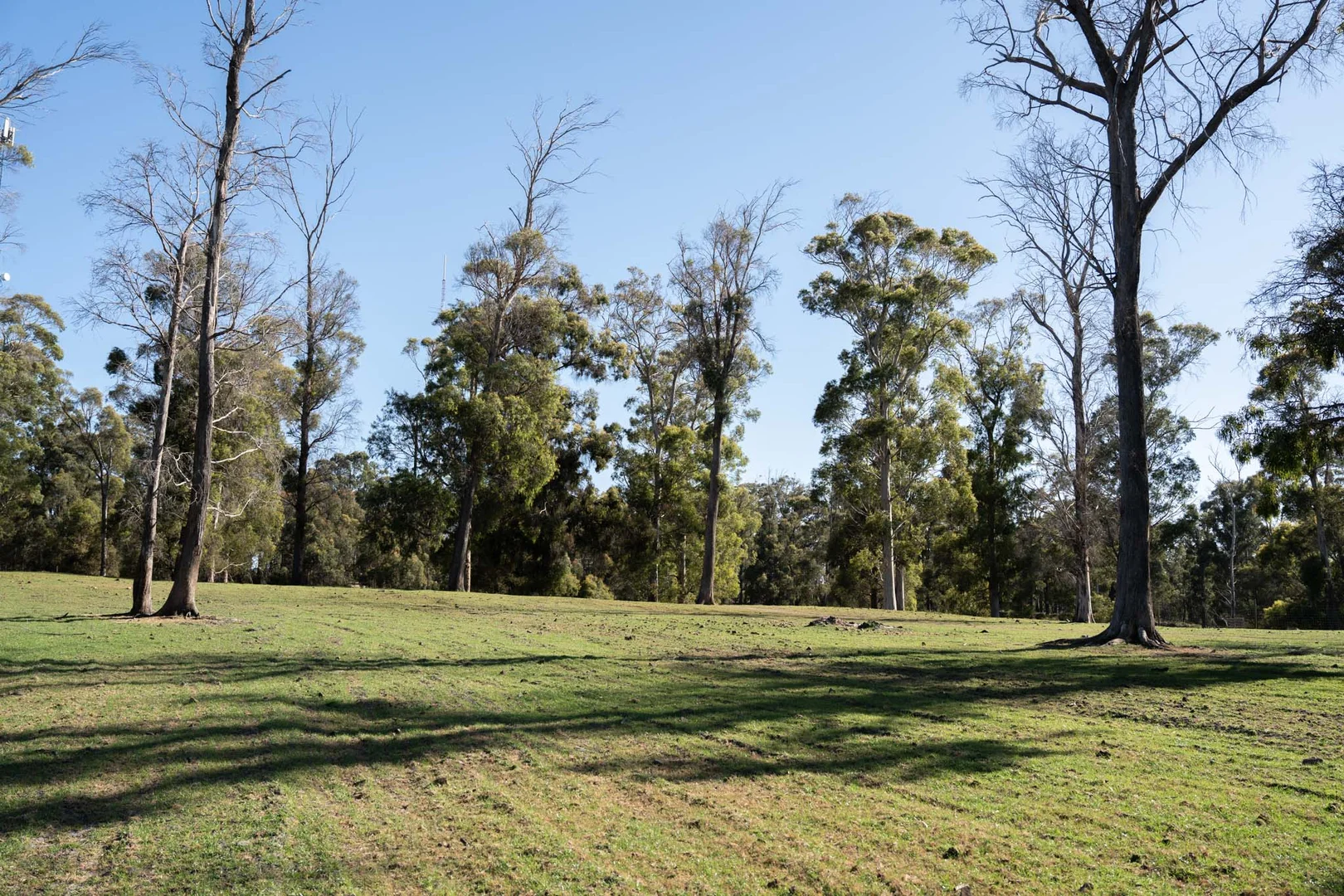 Additional image 13 of 51 Annies Lane, Northdown TAS 7307