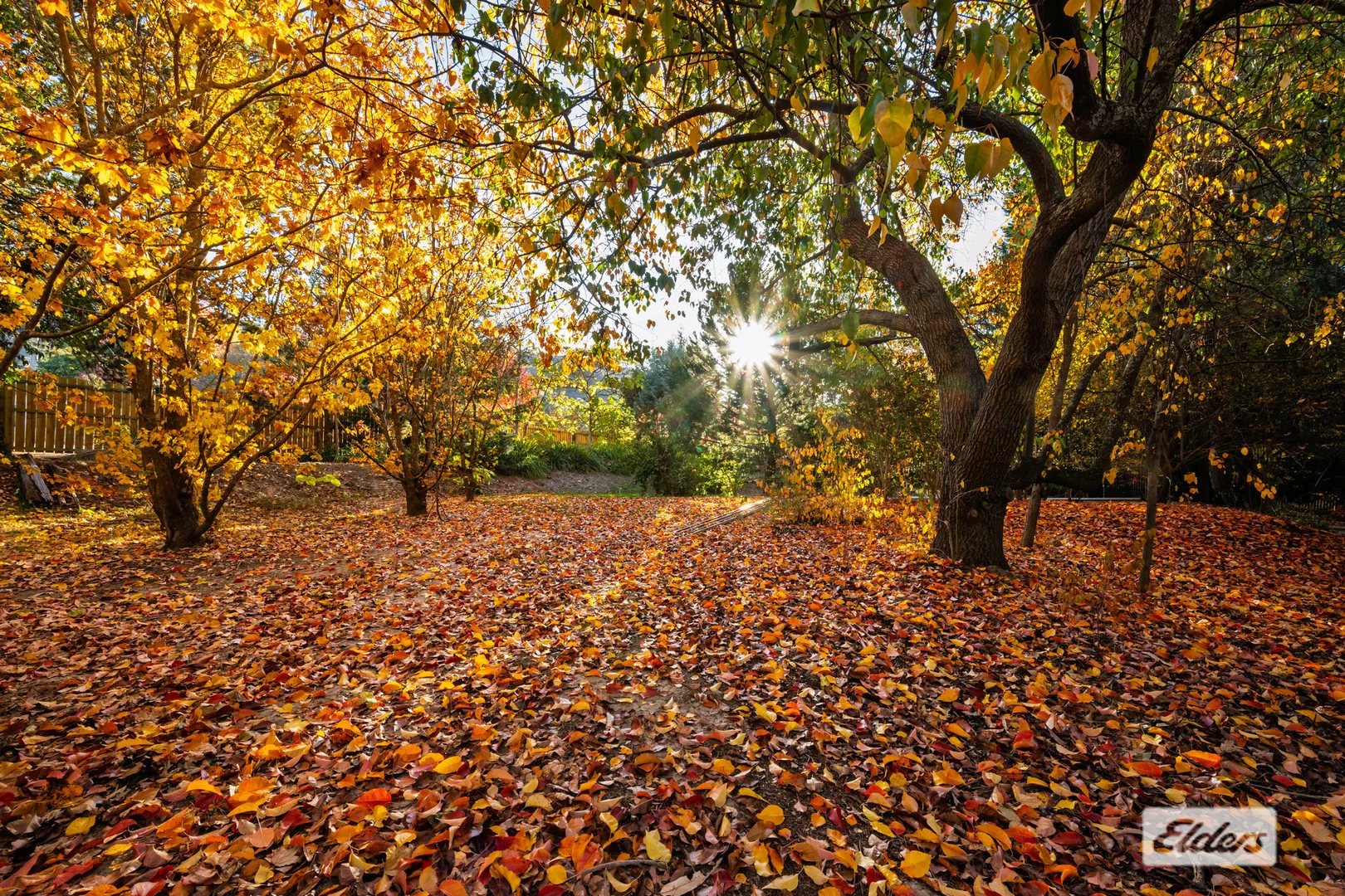 Additional image 33 of 134 Yackandandah Road, Yackandandah VIC 3749