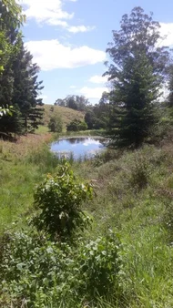 Additional image 4 of 53 Gurrinyah drive, Stokers Siding NSW 2484