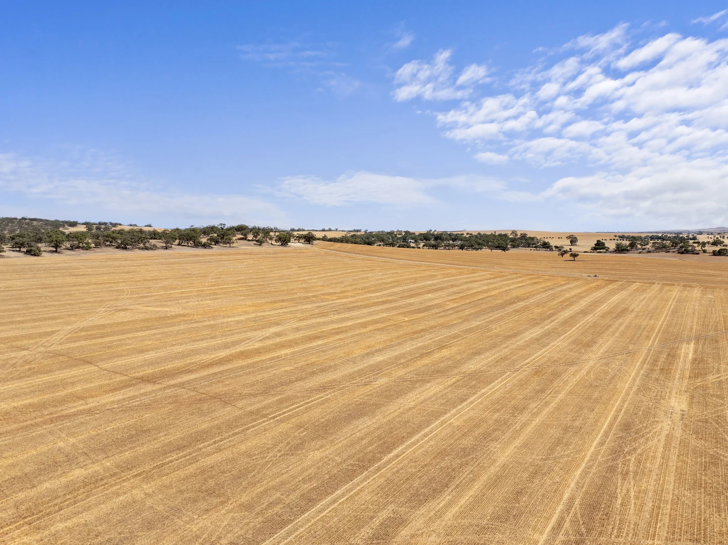 Additional image 24 of 'Merilden Feedlot' & 'Brads', Manoora SA 5414