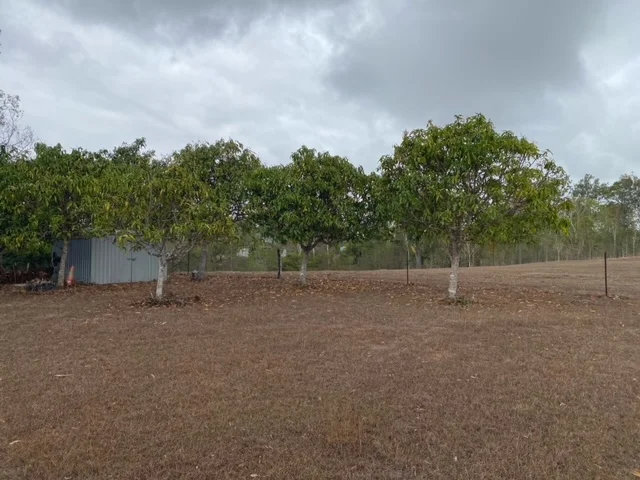 Additional image 12 of 630 Midge Point Road, Bloomsbury QLD 4799