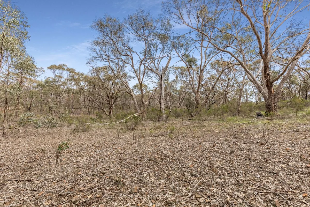 Additional image 3 of Lot 2/135 Chamberlain Road, Cornella VIC 3551