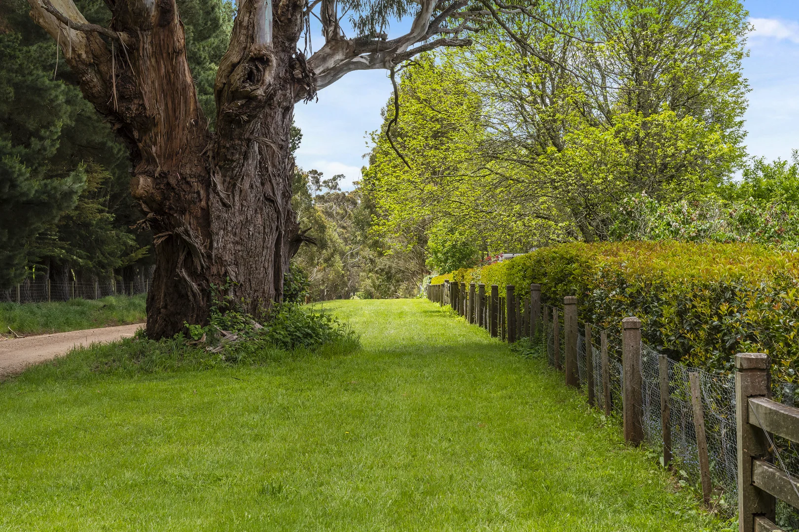 Additional image 22 of 114 Rodonis Road, Musk VIC 3461