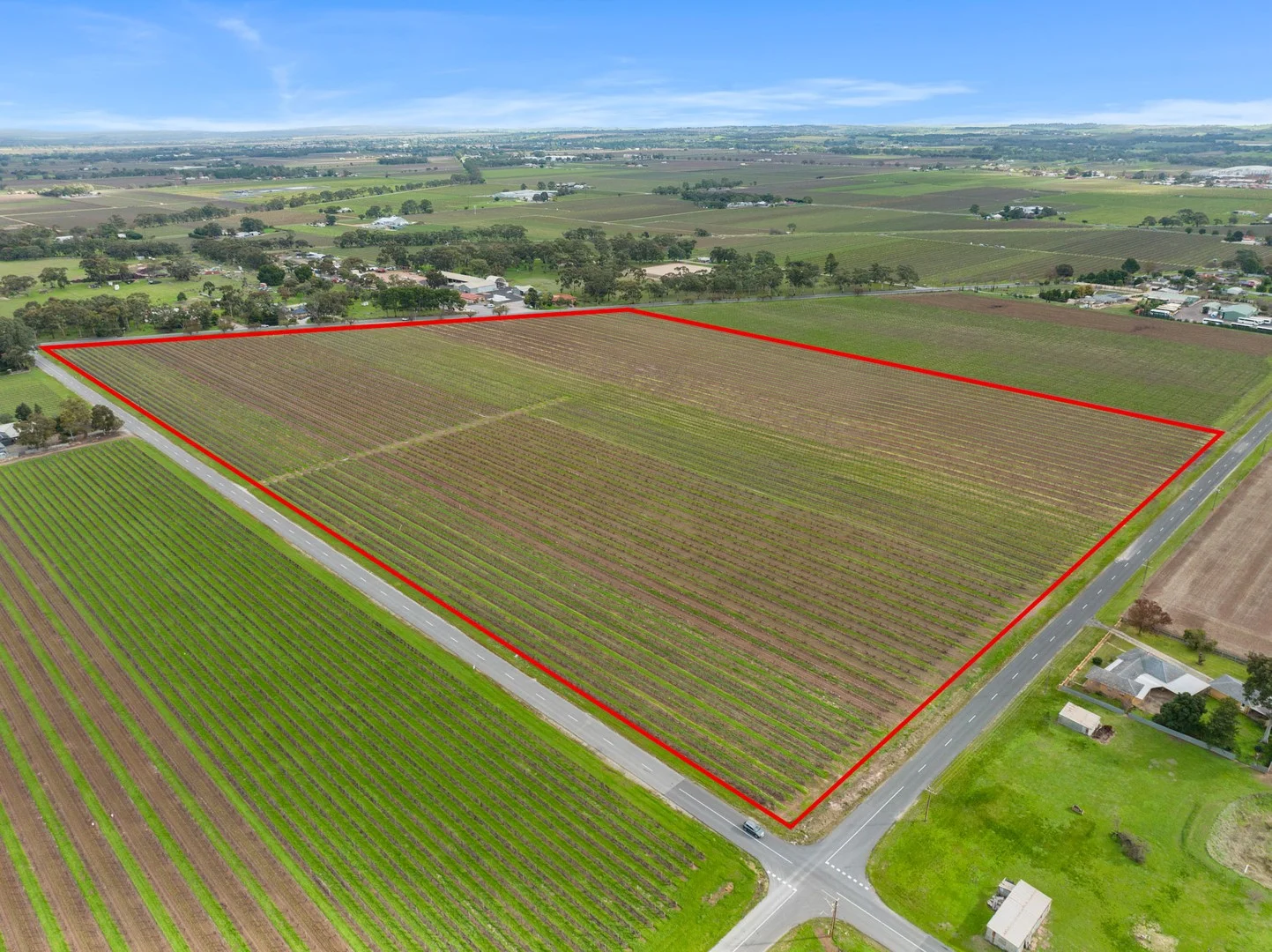 Lot 351 Angaston Road, Nuriootpa SA 5355
