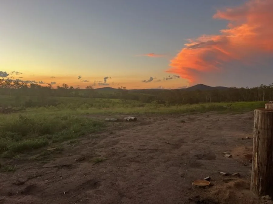 Additional image 34 of Lot 43 Moolyung Road, Waterloo QLD 4673