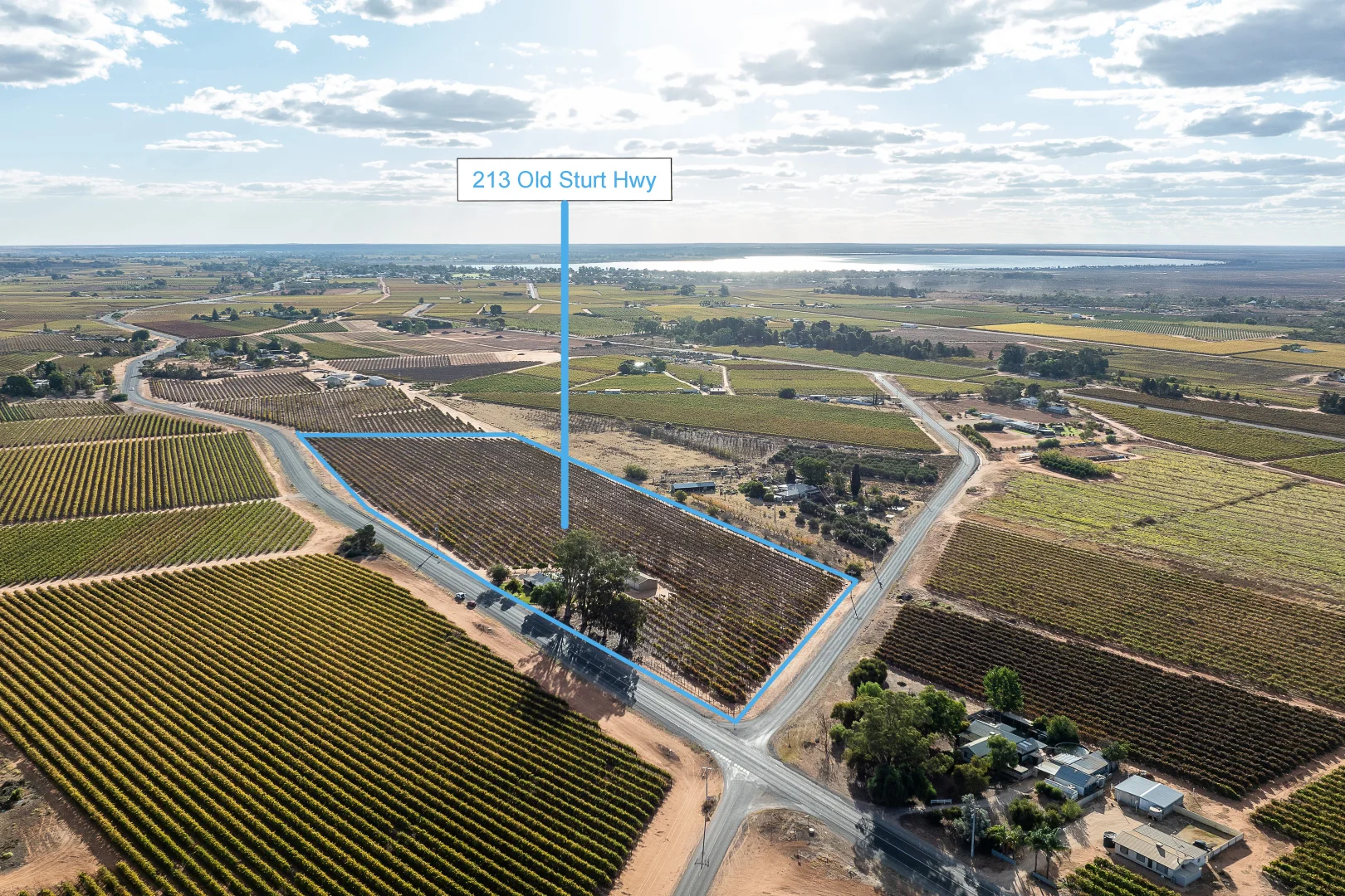 Additional image 12 of 213 Old Sturt Highway, Barmera SA 5345