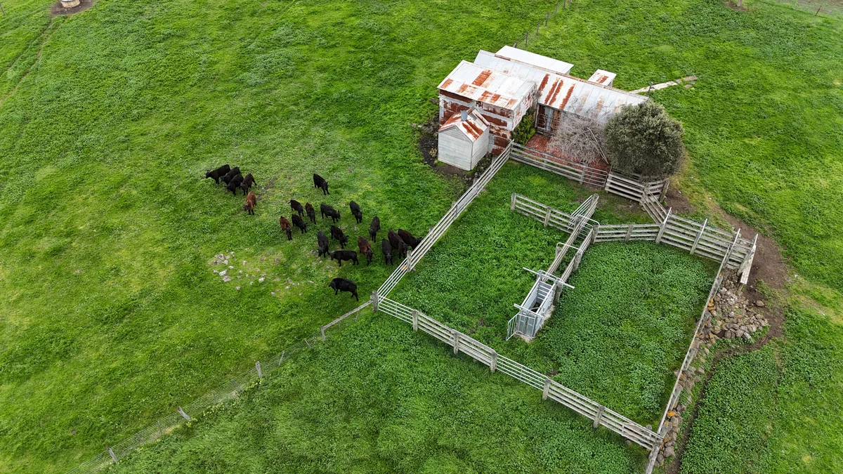 Additional image 3 of 215 Cundare-Duverney Road, Cundare North VIC 3251