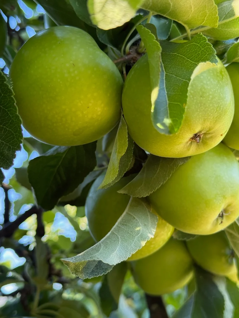 Additional image 26 of 112 David Street, East Devonport TAS 7310