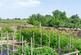 Additional image 21 of Cold Aston, Bourton-On-The-Water, Cheltenham, Gloucestershire, GL54