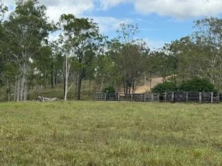 Additional image 20 of 142 PERRY RIVER FARMS RD, Morganville QLD 4671
