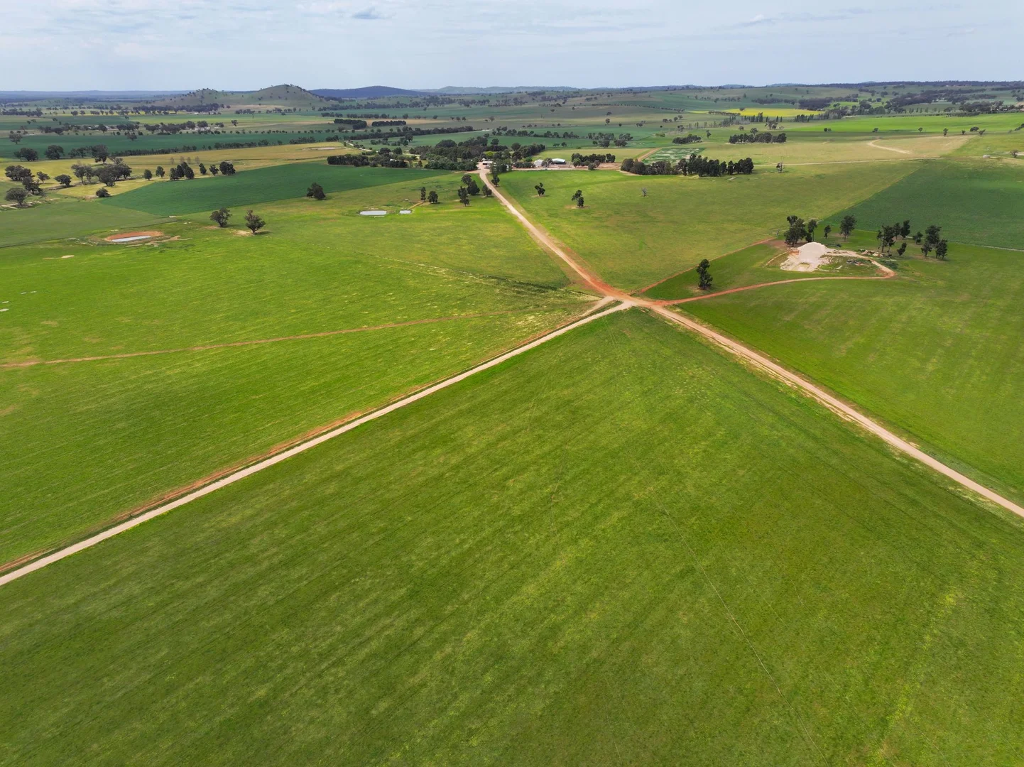 Additional image 7 of 1679 Stockinbingal Road, Cootamundra NSW 2590