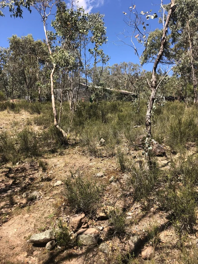 Additional image 5 of Lot 2 Clonmeen Road, Lindesay NSW 2347