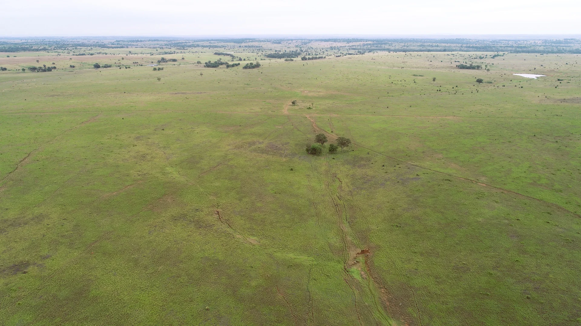 Additional image 9 of 'Bracco' Orallo Road, Roma QLD 4455