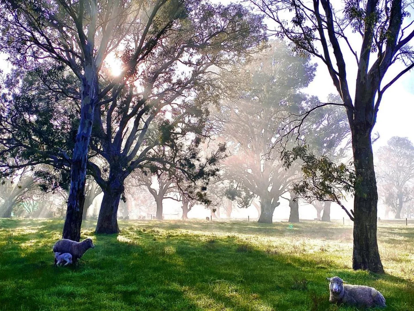 Additional image 29 of 6997 Dartmoor Hamilton Road, Hamilton VIC 3300