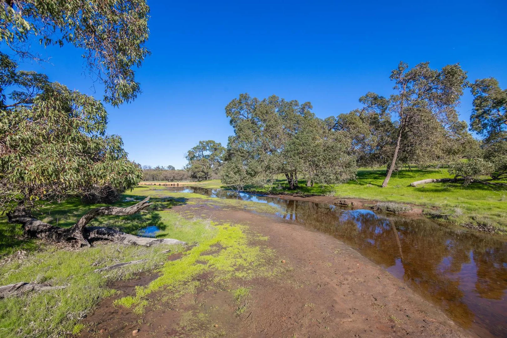 Additional image 36 of 55 Pen Road, Warradarge WA 6518