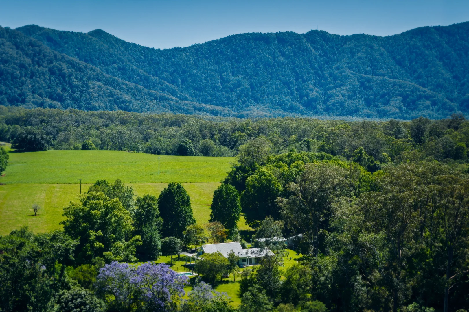 Additional image 3 of 190 Promised Land Road, Bellingen NSW 2454