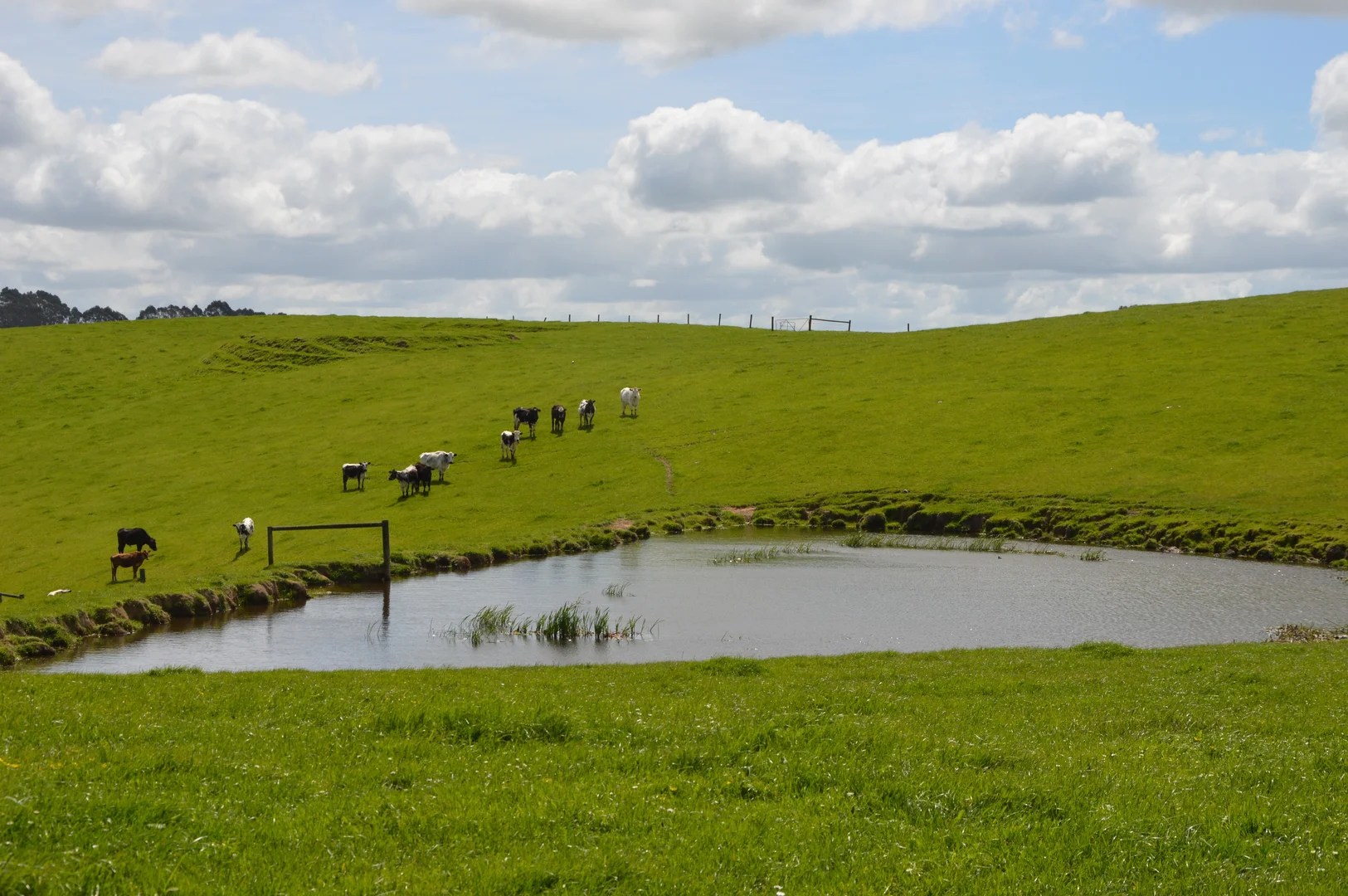 Additional image 30 of 59 Bellview Lane, Korumburra VIC 3950