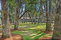 Additional image 54 of 8200 Bridgeport Way SW, Lakewood, WA, 98499