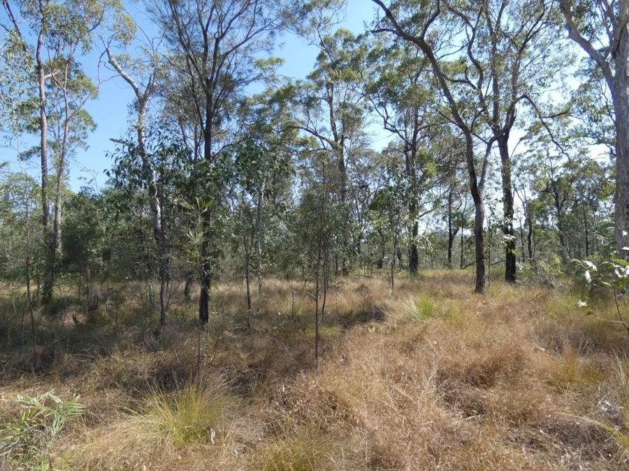 Additional image 27 of 641 Capricornia Drive, Deepwater QLD 4674