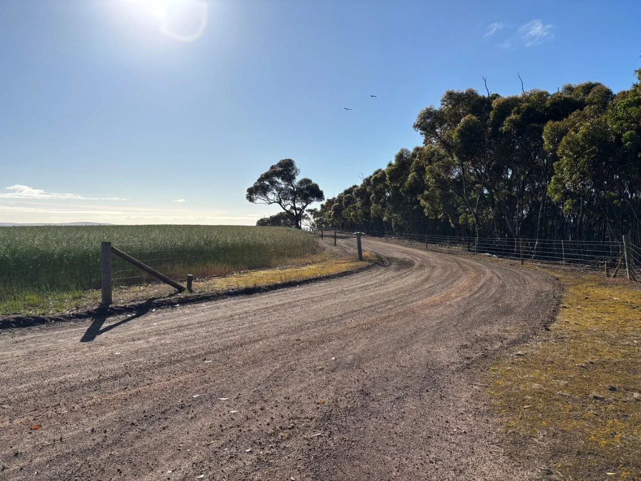 Additional image 28 of 251 Reservoir Drive, Whites Flat SA 5607