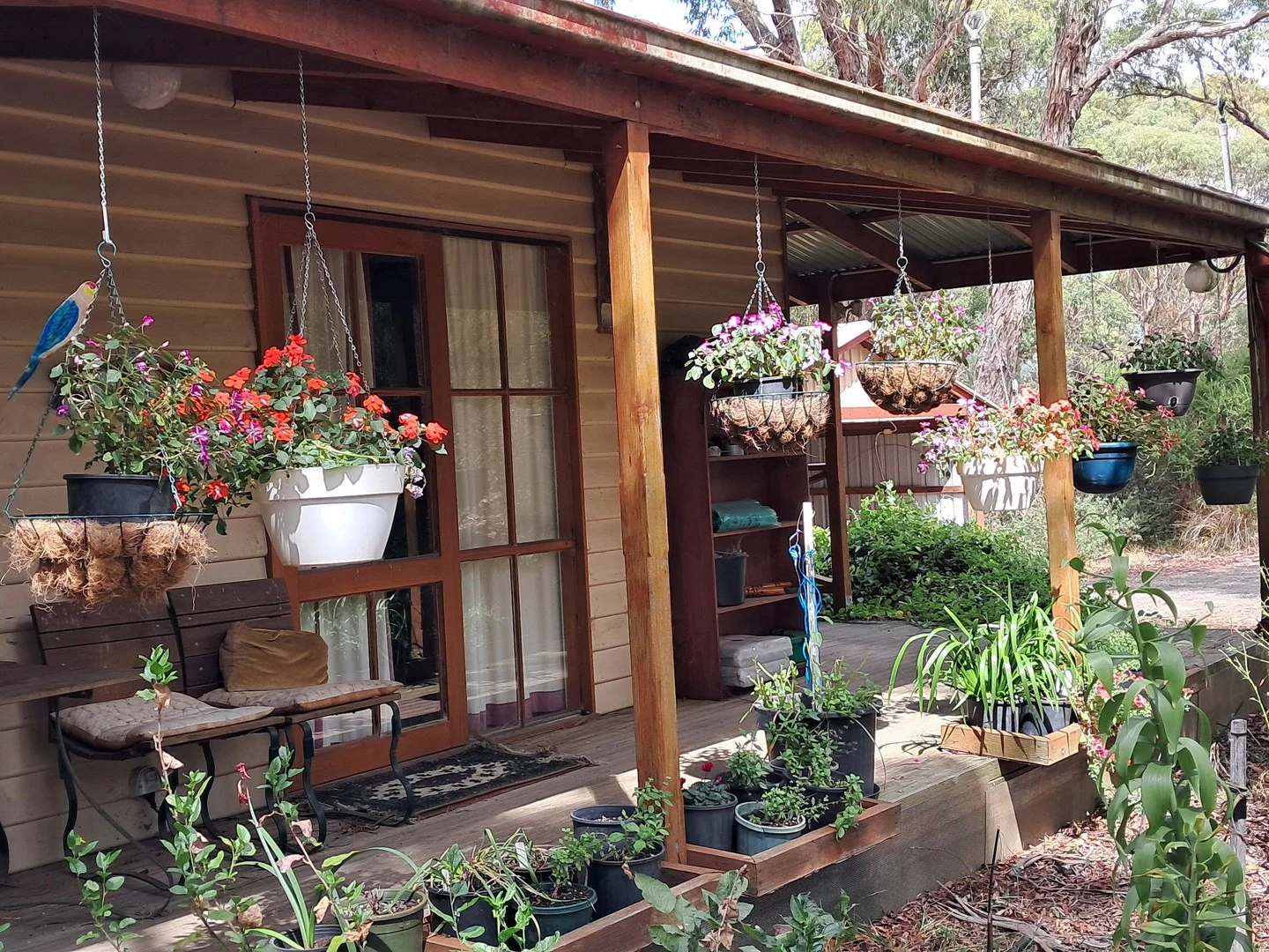 Durham Lead VIC 3352