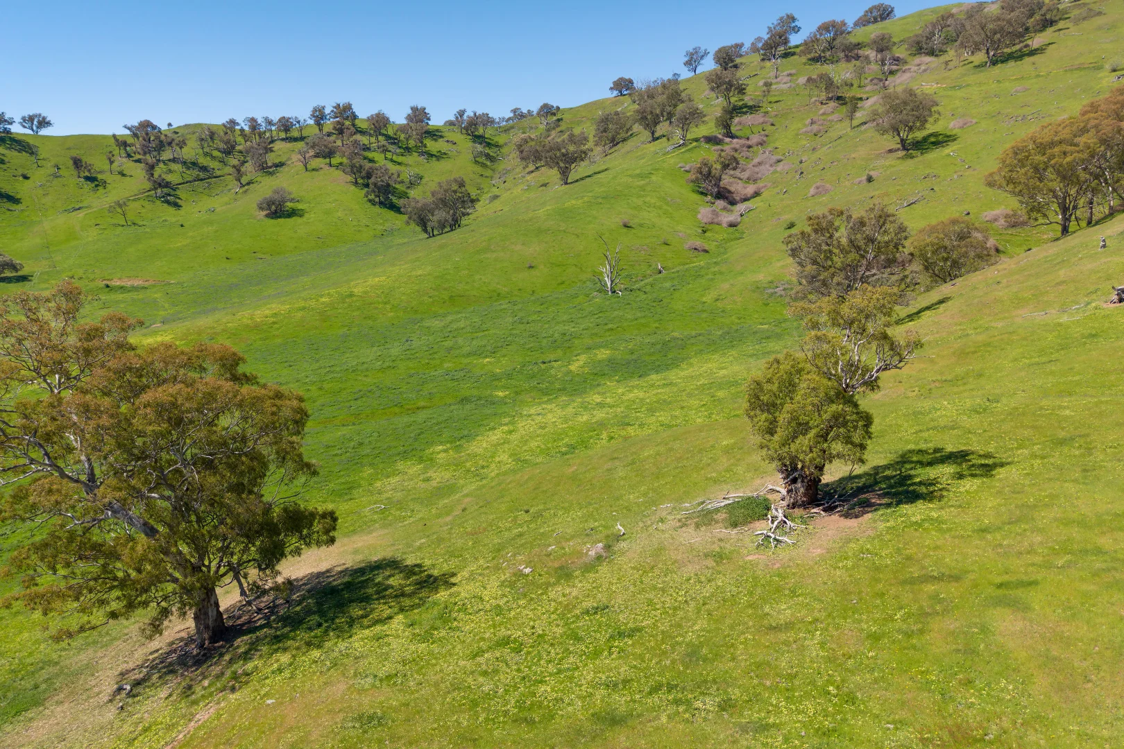 Additional image 45 of 1407 Murray Valley Highway, Huon VIC 3695