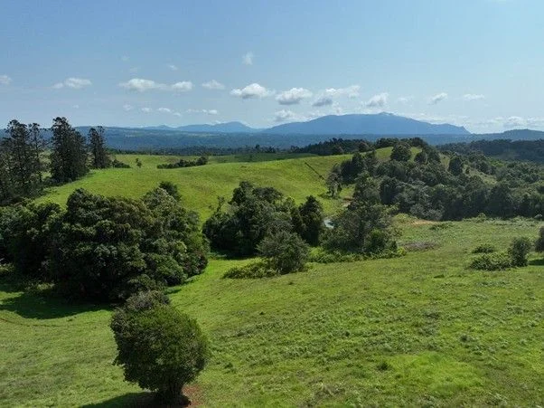 Additional image 33 of 94 Ellinjaa Road, Ellinjaa QLD 4886