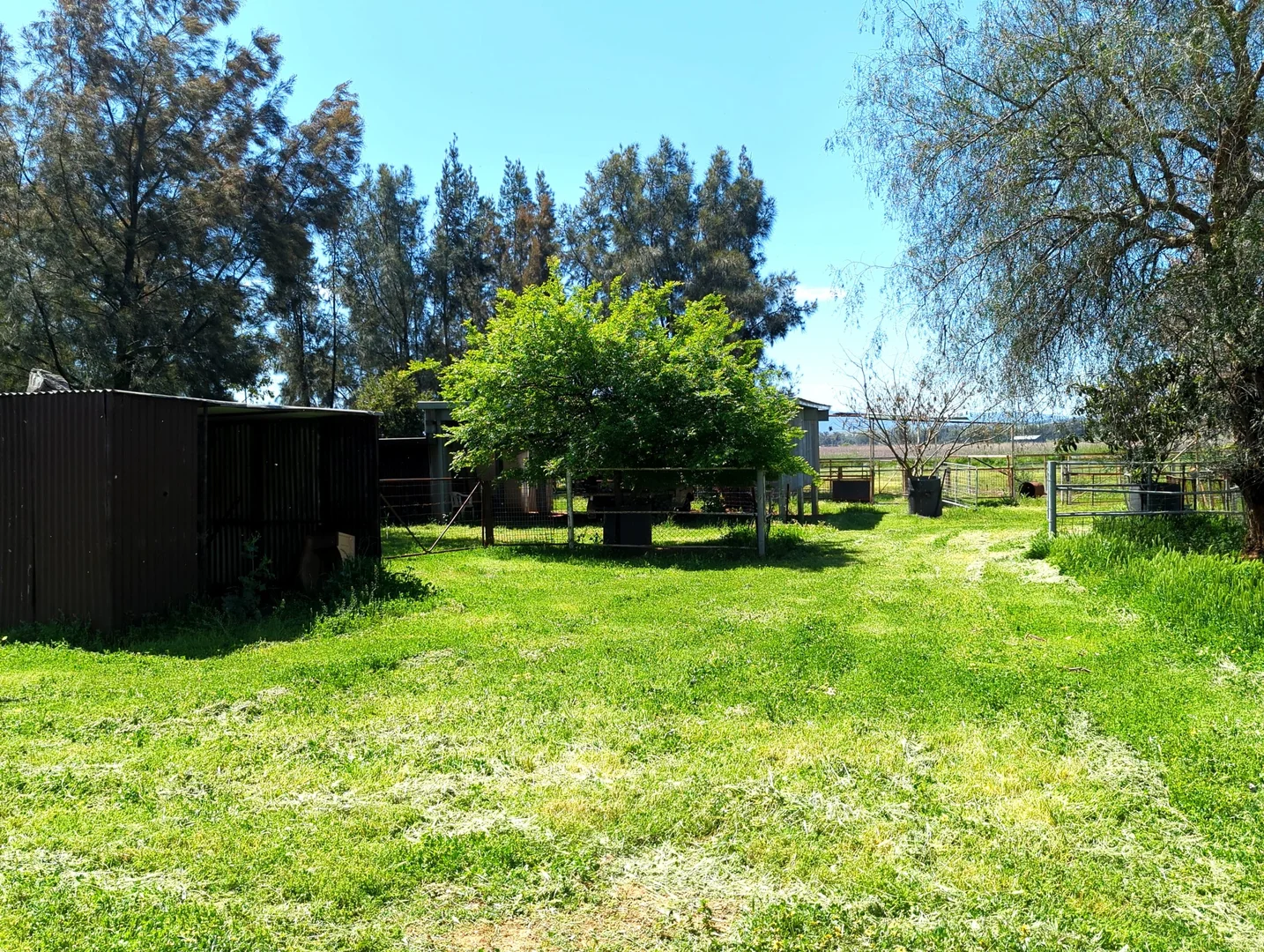 Additional image 4 of 5082 Werris Creek Road, Warral NSW 2340