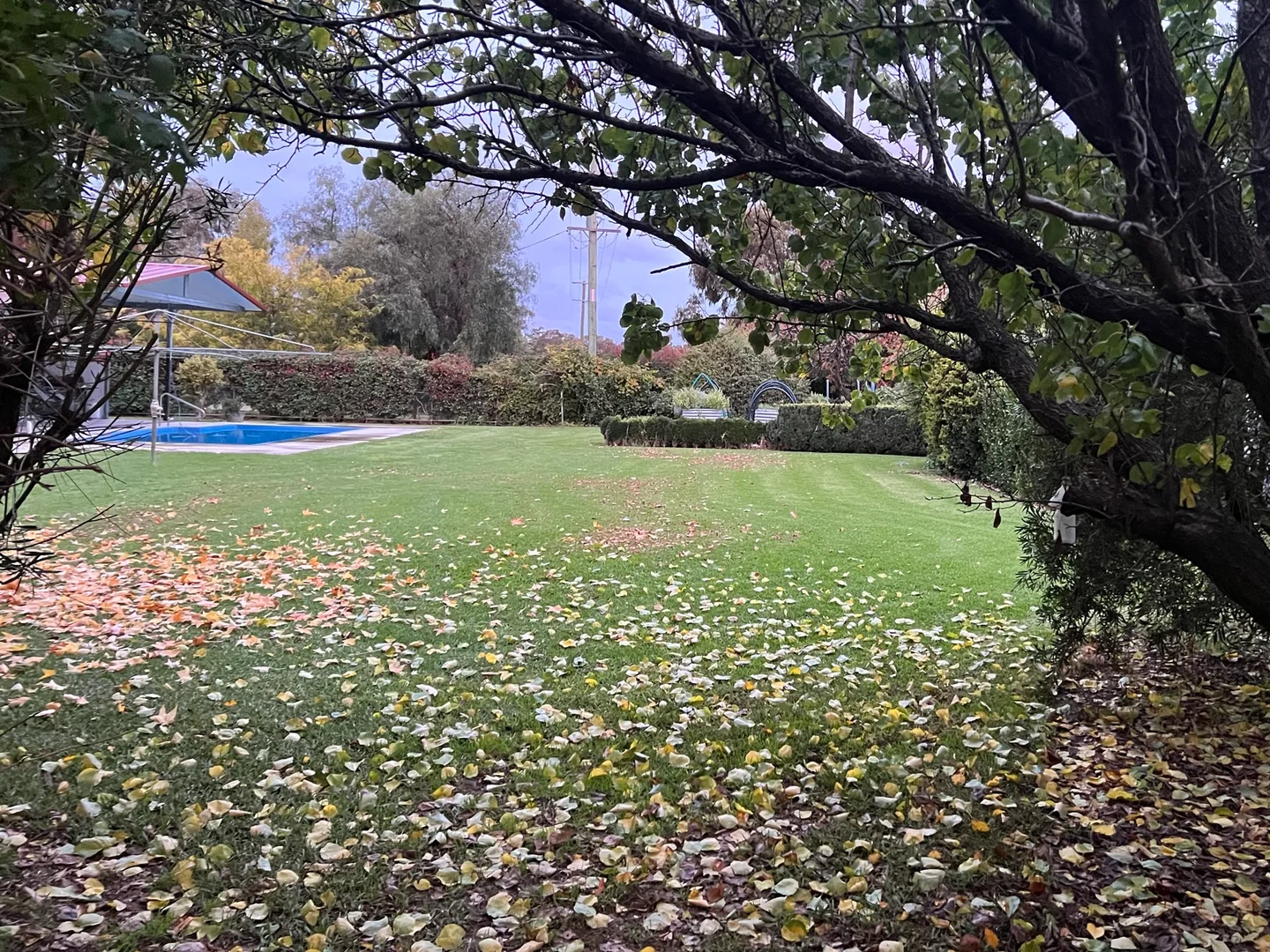 Additional image 9 of Gooloogong NSW 2805