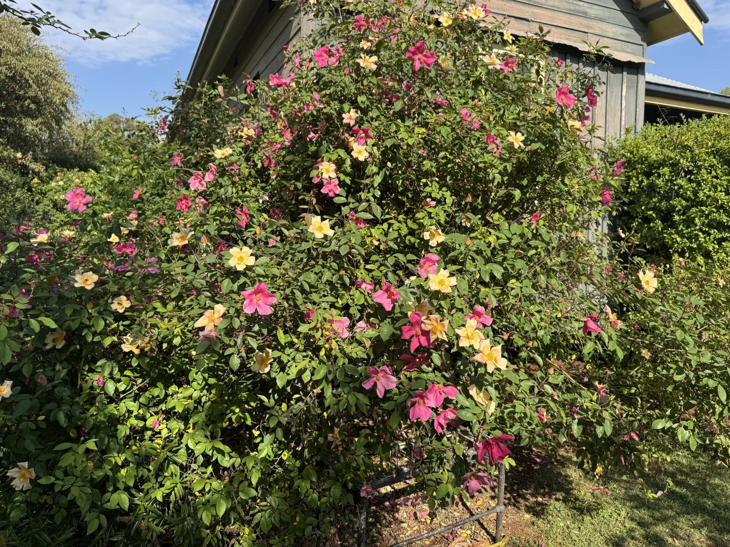 Additional image 22 of 121 Orchard Place, Inverell NSW 2360