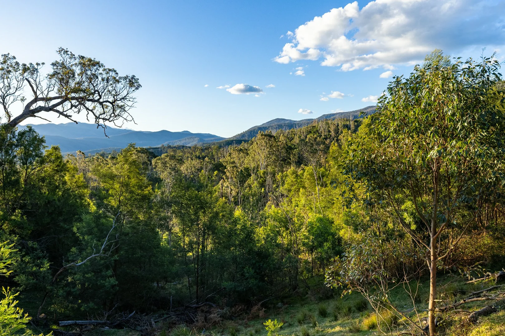 Additional image 21 of 1216 Upper Brogo Road, Brogo NSW 2550