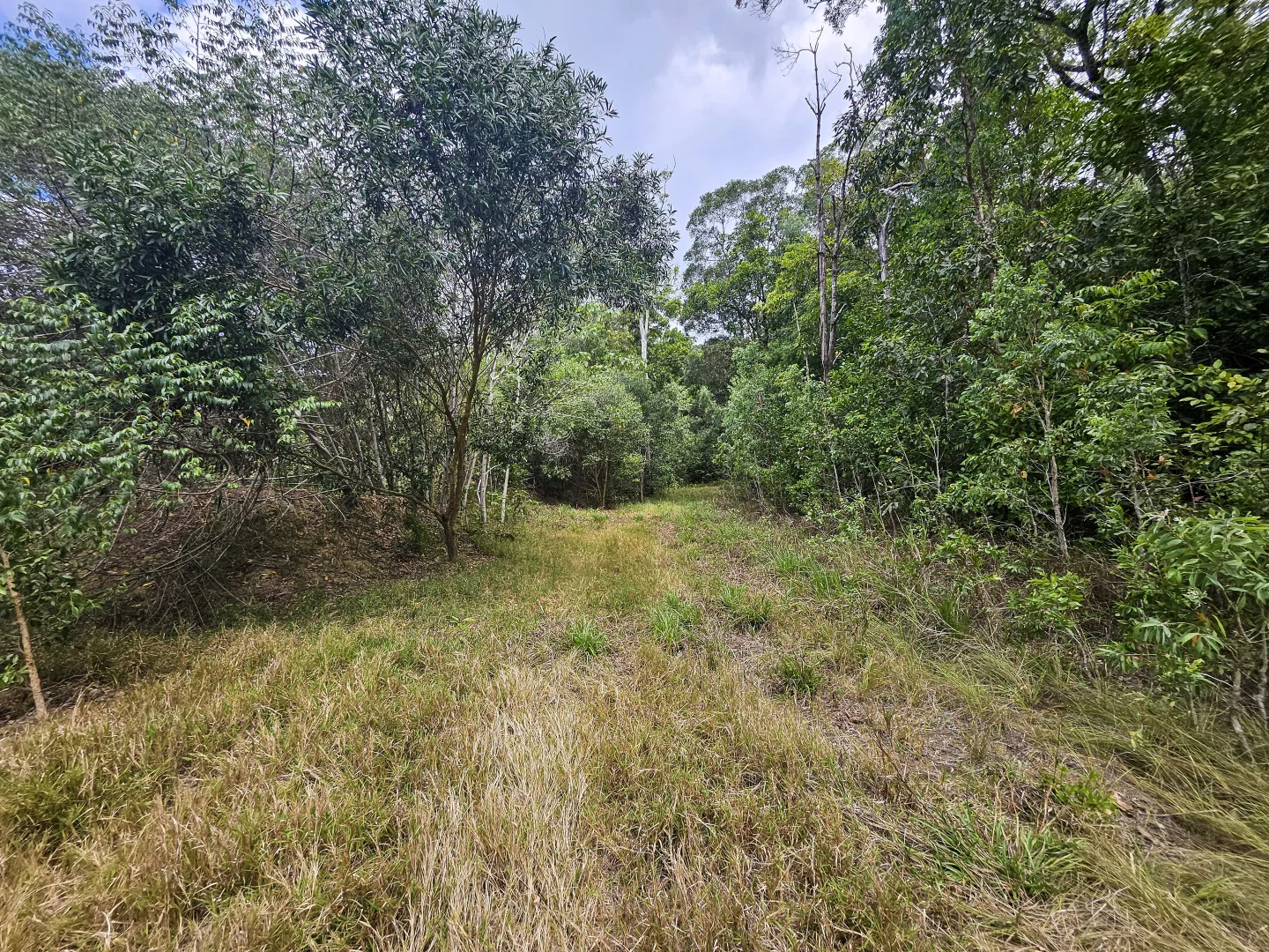 Additional image 11 of 2401 Rossville Bloomfield Road, Bloomfield QLD 4895