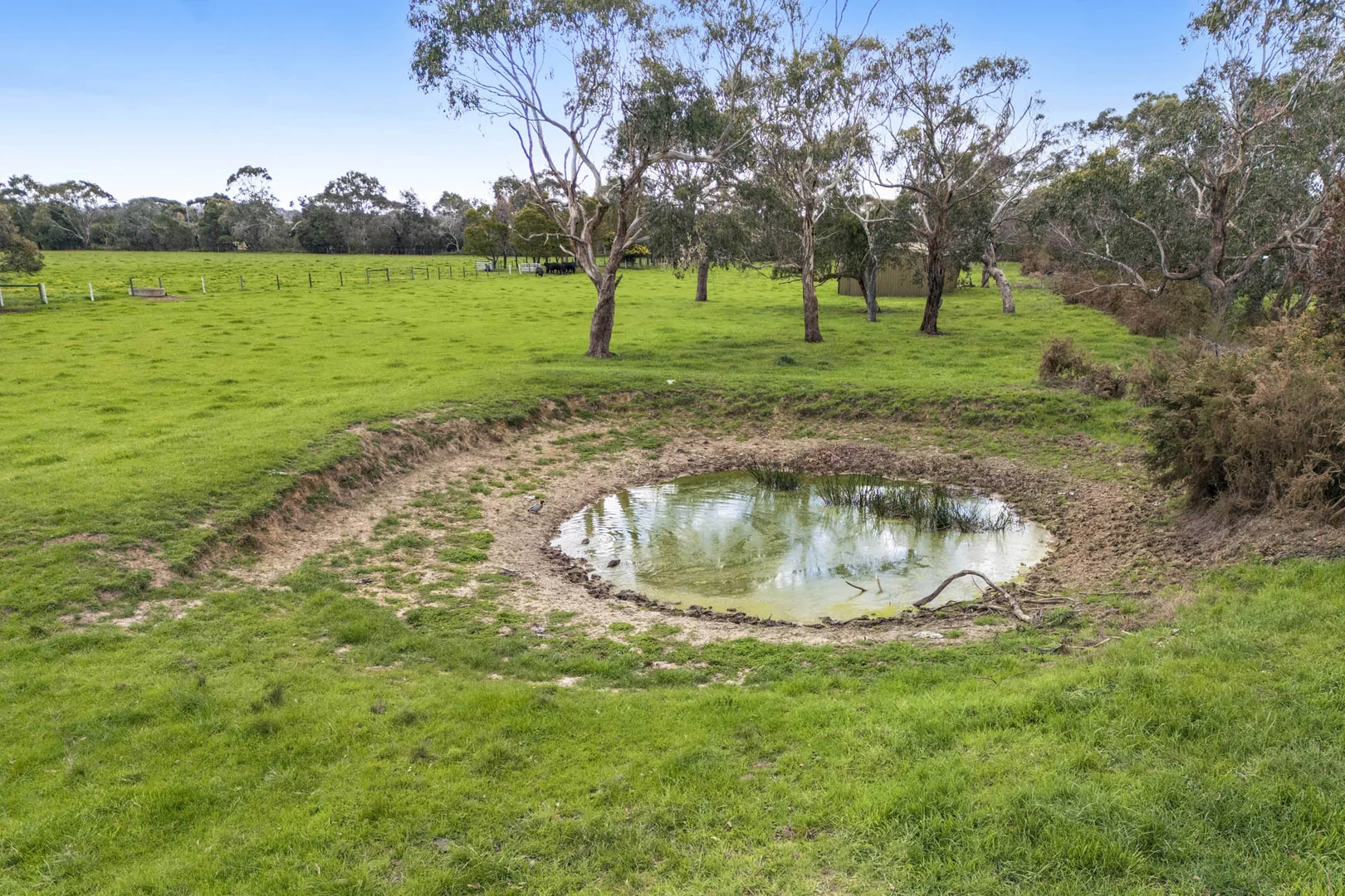 Additional image 9 of 1 Daniel Drive, Moorooduc VIC 3933