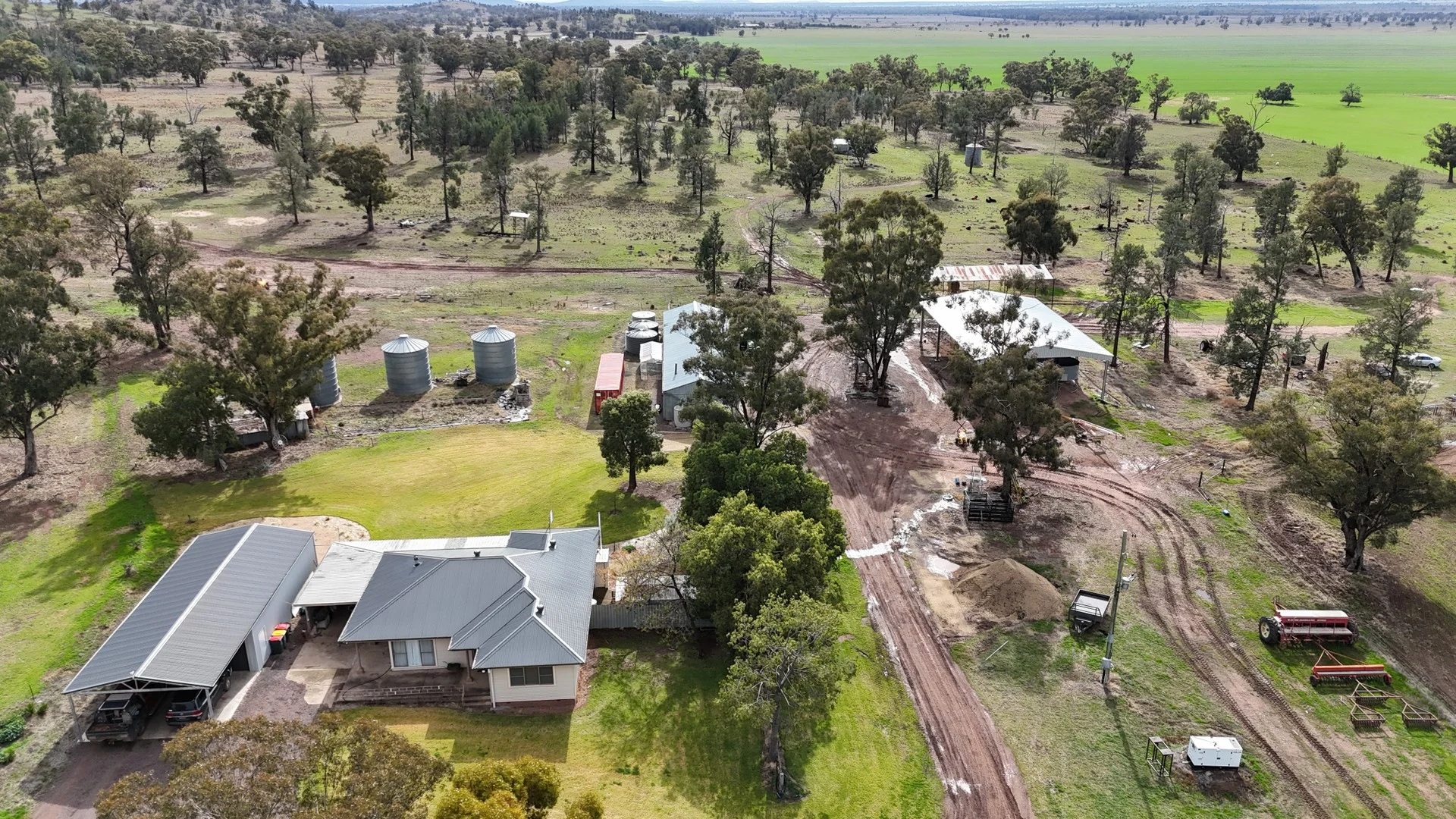 877 Mount Tallabung Road, Forbes NSW 2871