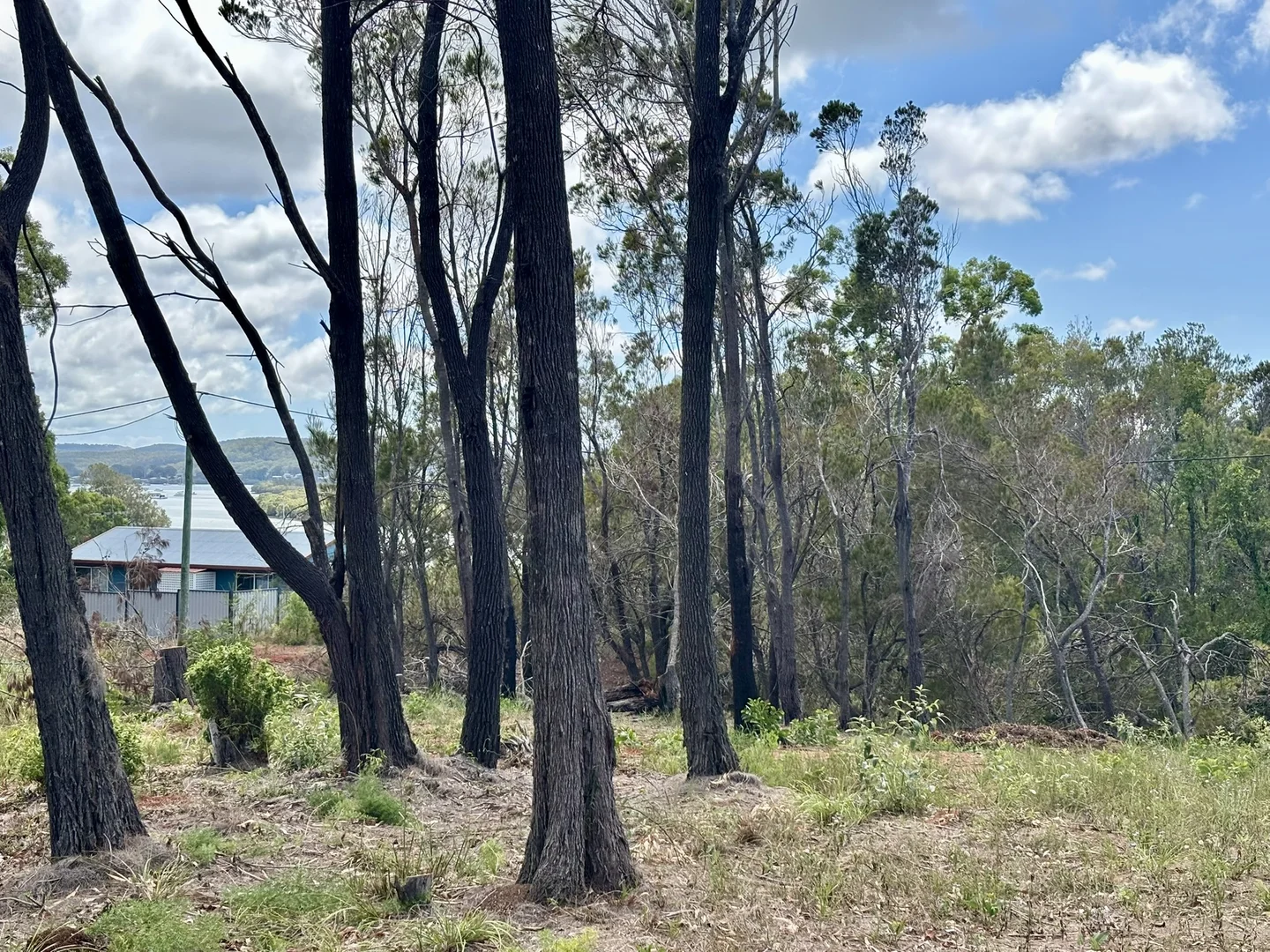 Additional image 8 of 17 Opal Ct, Russell Island QLD 4184