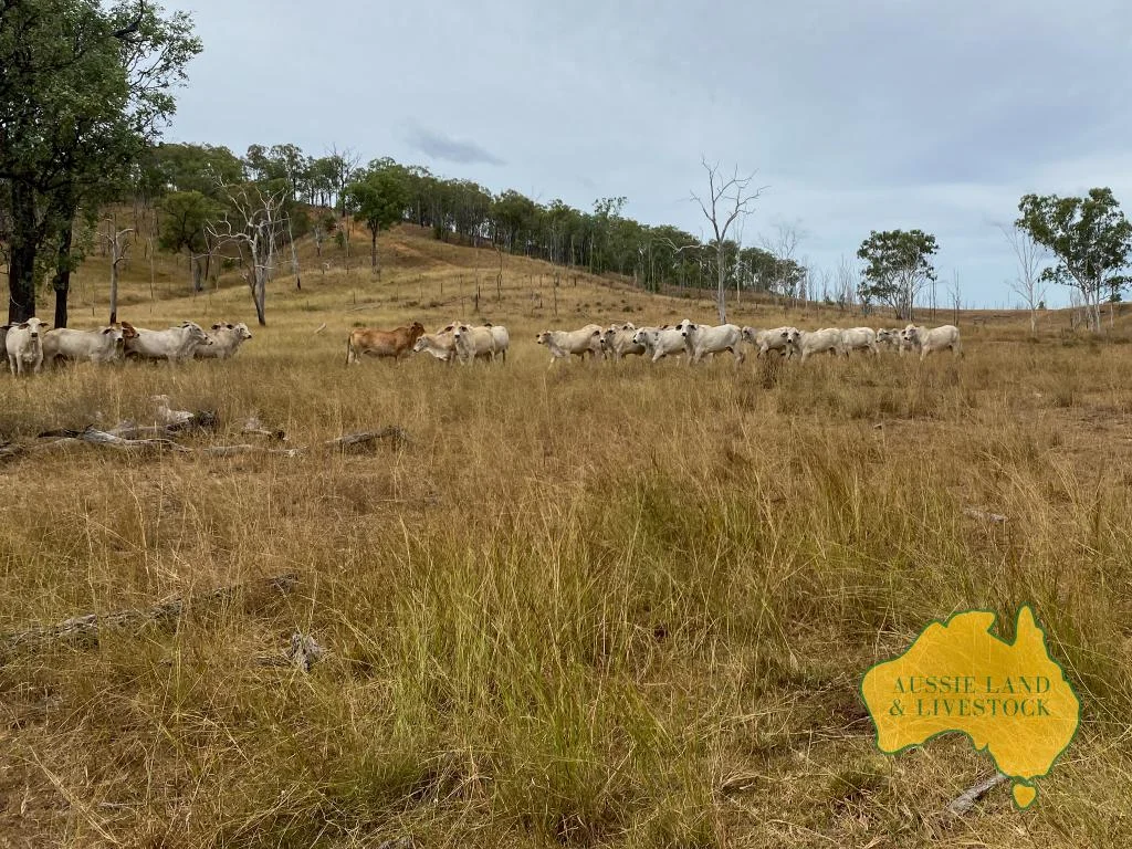 Additional image 7 of 2360 MONTO MOUNT PERRY ROAD, Yarrol QLD 4630