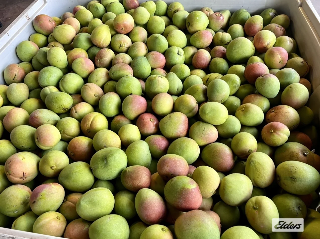 Additional image 26 of 125 Buckley Road, Lambells Lagoon NT 0822