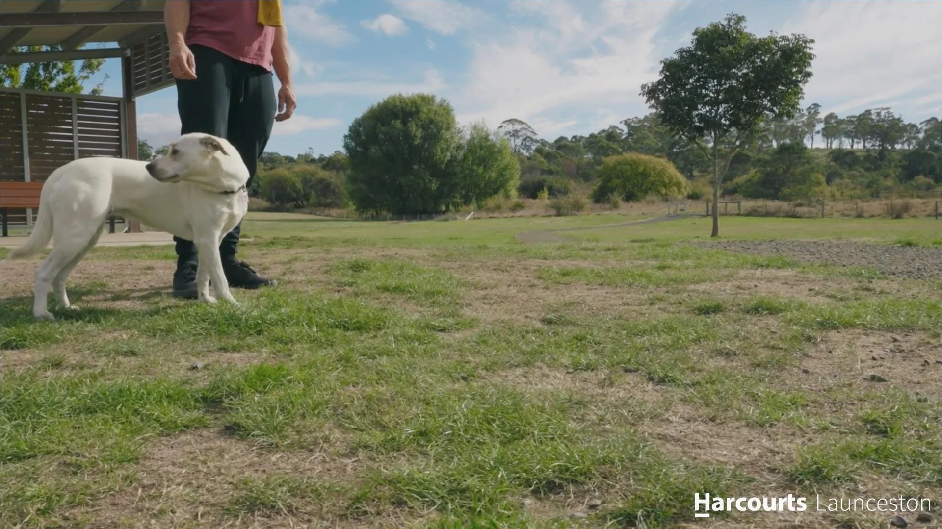 Additional image 12 of Panorama Views, Blackstone Heights TAS 7250