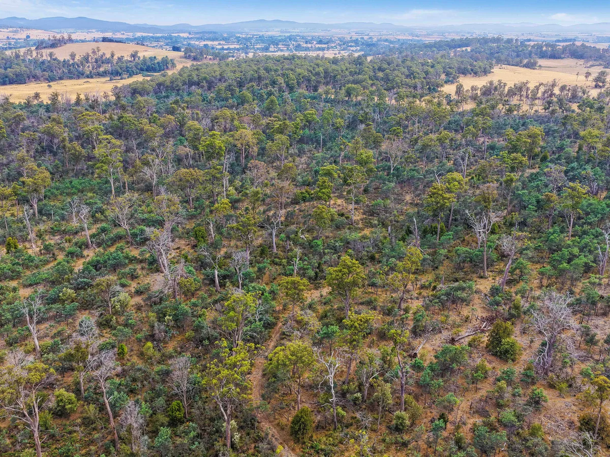 Additional image 19 of 179 Cluan Road, Cluan TAS 7303