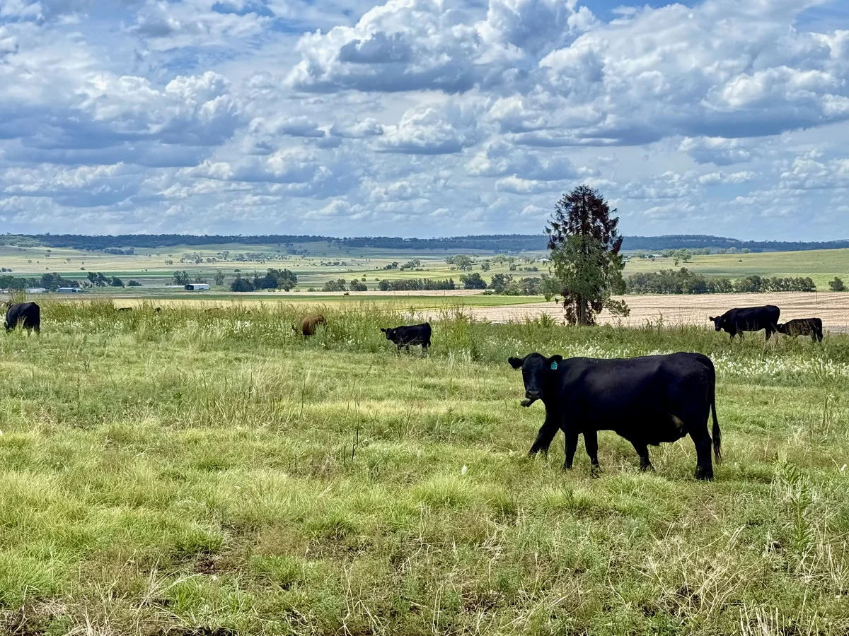 Additional image 5 of 742 Goomburra Road, Berat QLD 4362