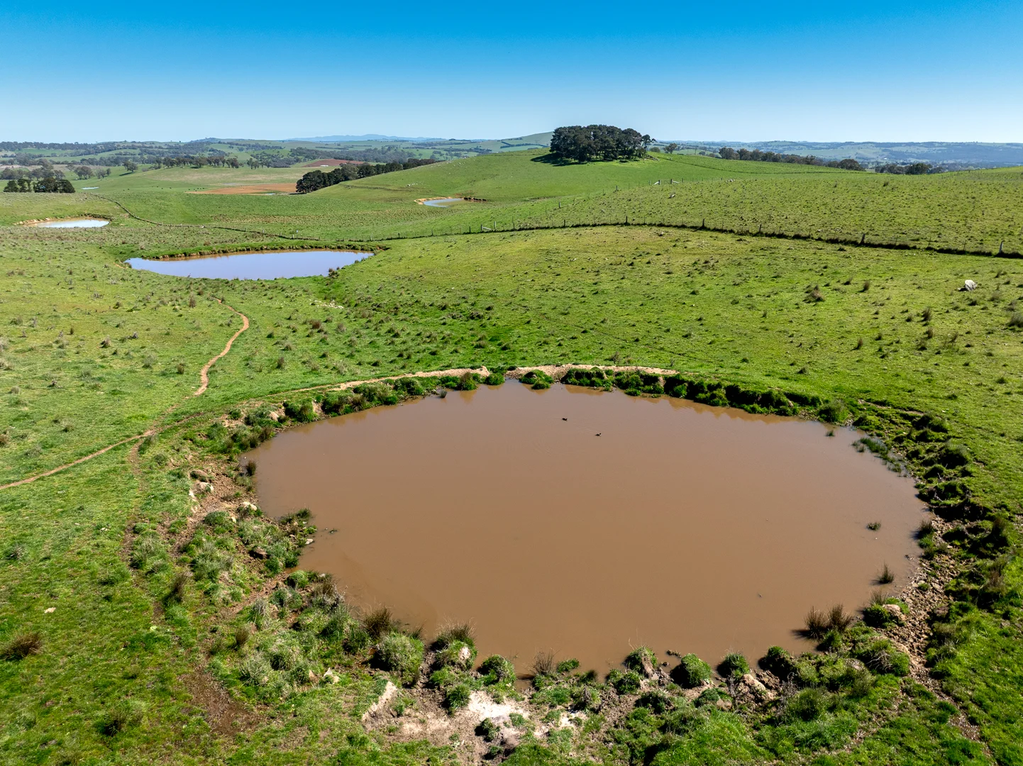 Additional image 7 of 242 Bundaleer Road, Newbridge NSW 2795