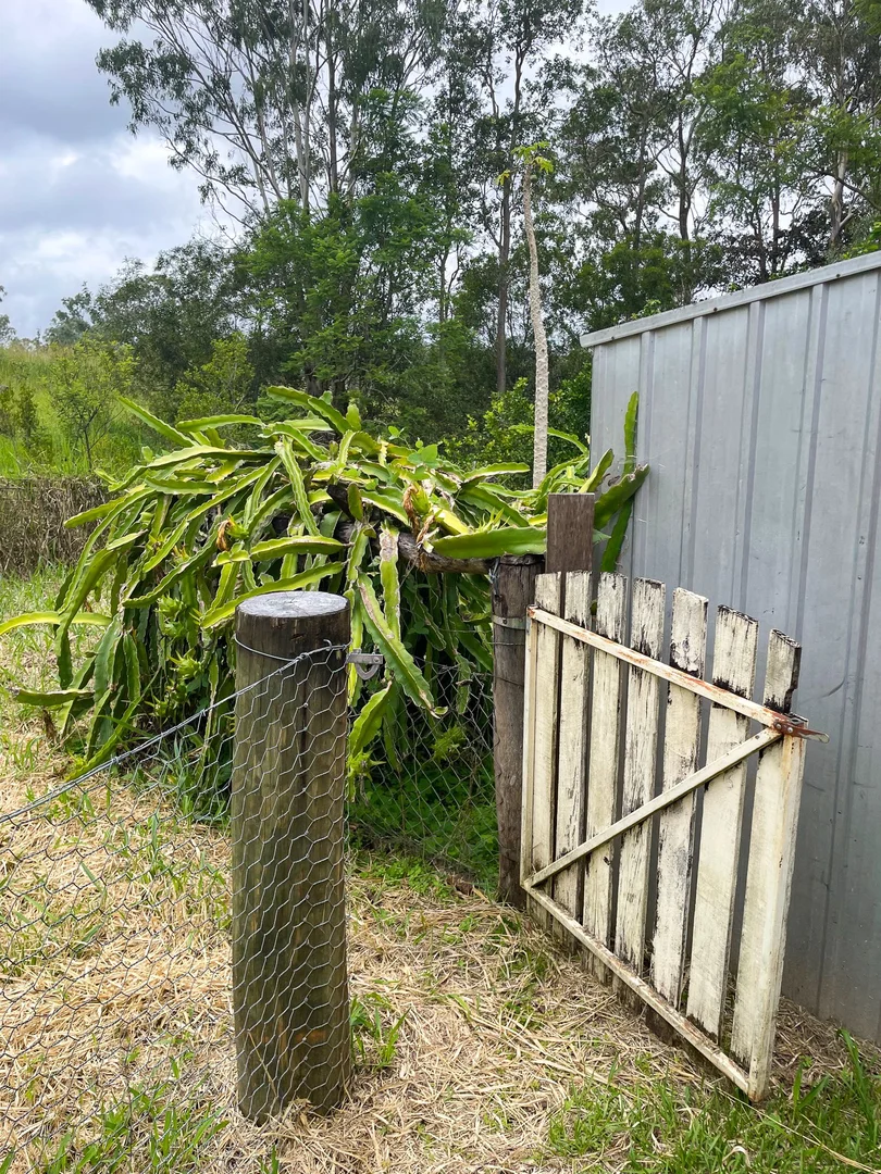 Additional image 16 of 196 Greys Lane, Ravenshoe QLD 4888