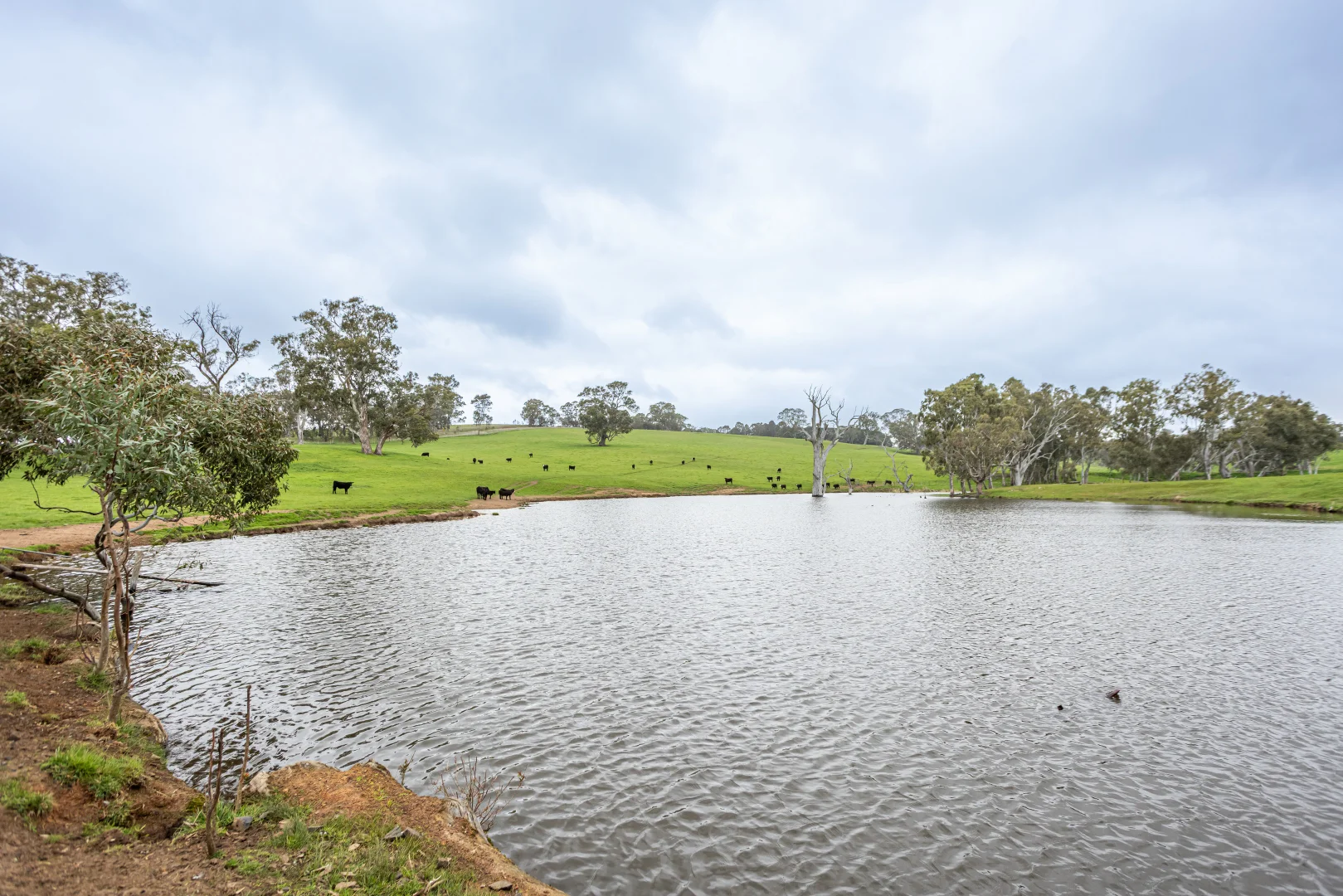 Additional image 16 of 3155 Casterton-Edenhope Road, Chetwynd VIC 3312
