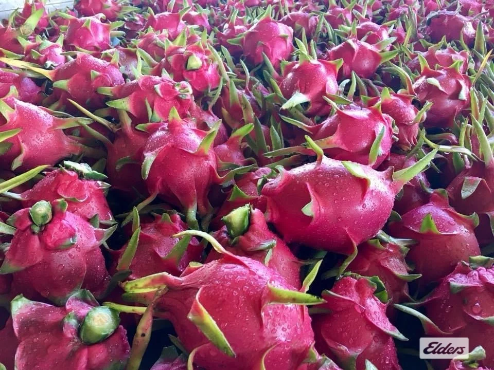 Additional image 34 of 125 Buckley Road, Lambells Lagoon NT 0822