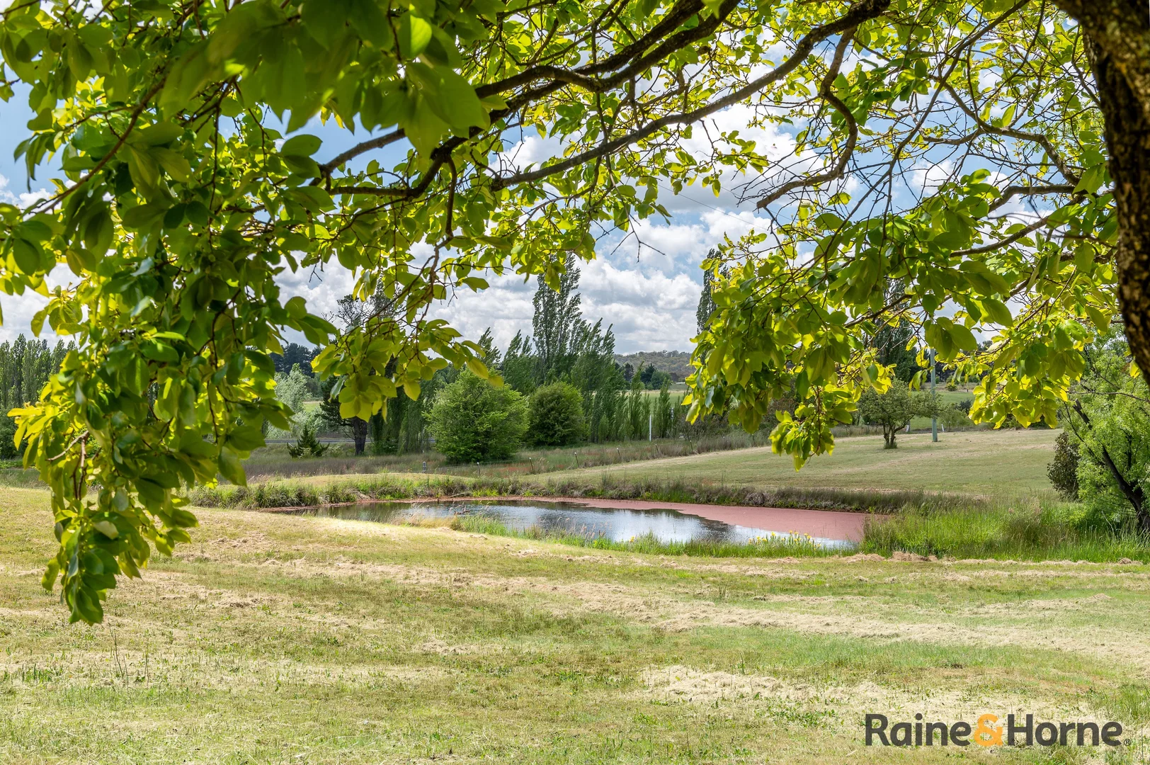 Additional image 16 of 3933 Thunderbolts Way, Uralla NSW 2358