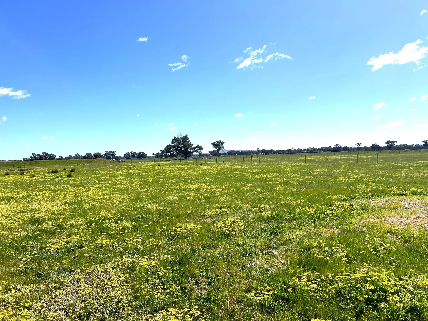 Additional image 10 of 1 Dennis Road, Benalla VIC 3672