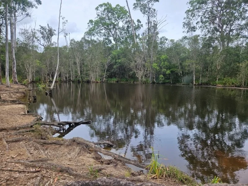 Additional image 2 of 0 Davis Road, Bauple Forest QLD 4650