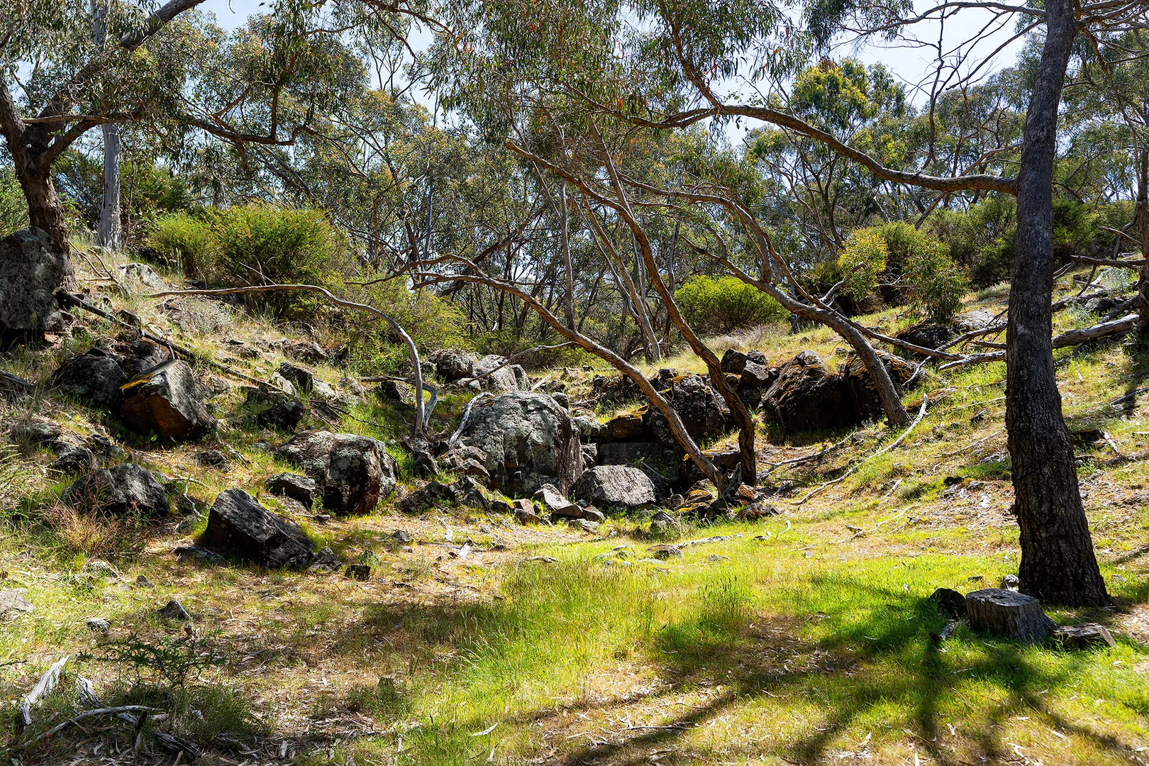 Additional image 9 of 186 Bells Reef Road, Maldon VIC 3463