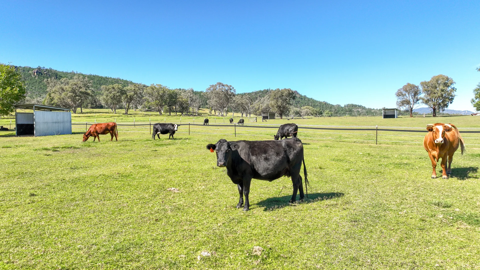 Additional image 16 of 2174 New England Highway, Moonbi NSW 2353